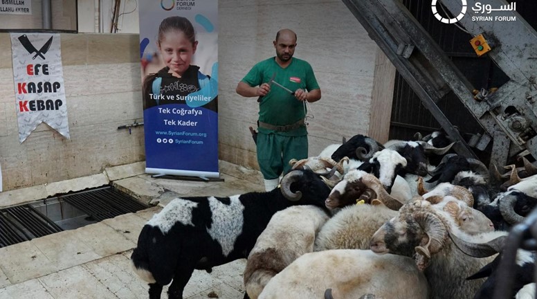 شارك المنتدى السوري في حملة الأضاحي التي أطلقتها بلدية شاهين بيه في غازي عنتاب